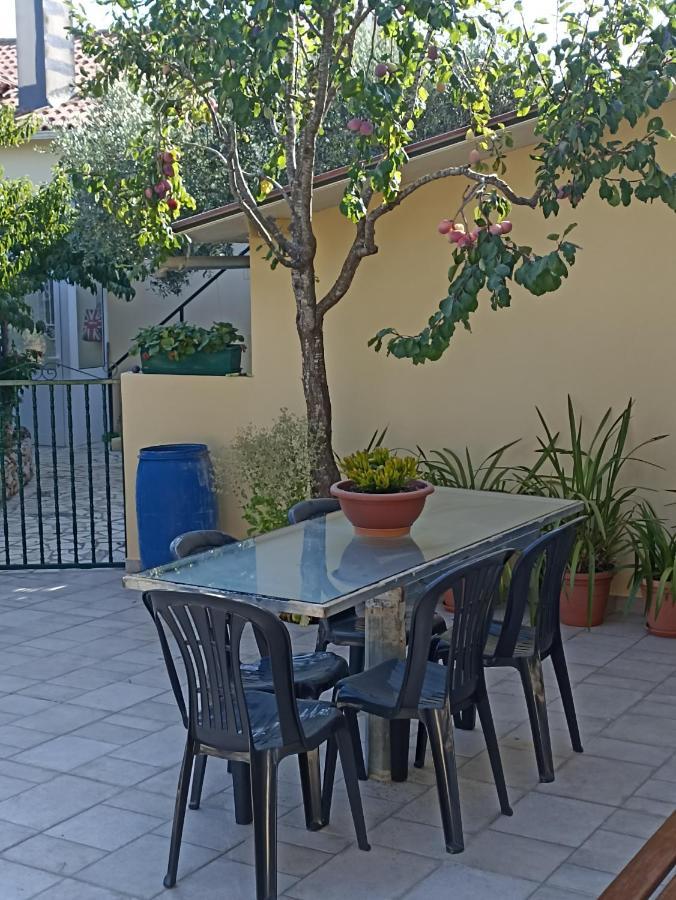Villa Casa Da Avo Zita à Pombal  Extérieur photo